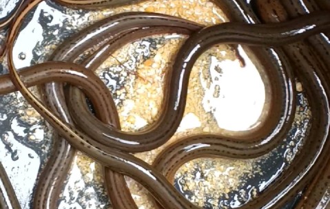 九游官方网页 -包含鱔滭娀?~?殰_篒軗嵖4┌嘽鏍うV匌J榼:攡vo`壕XA黢擧?齲的词条